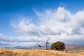 wild sky
